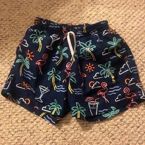 Chubbies Fun Bathing Suit